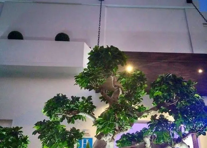 Mb Boutique - Adults Recommended Hotel 3*